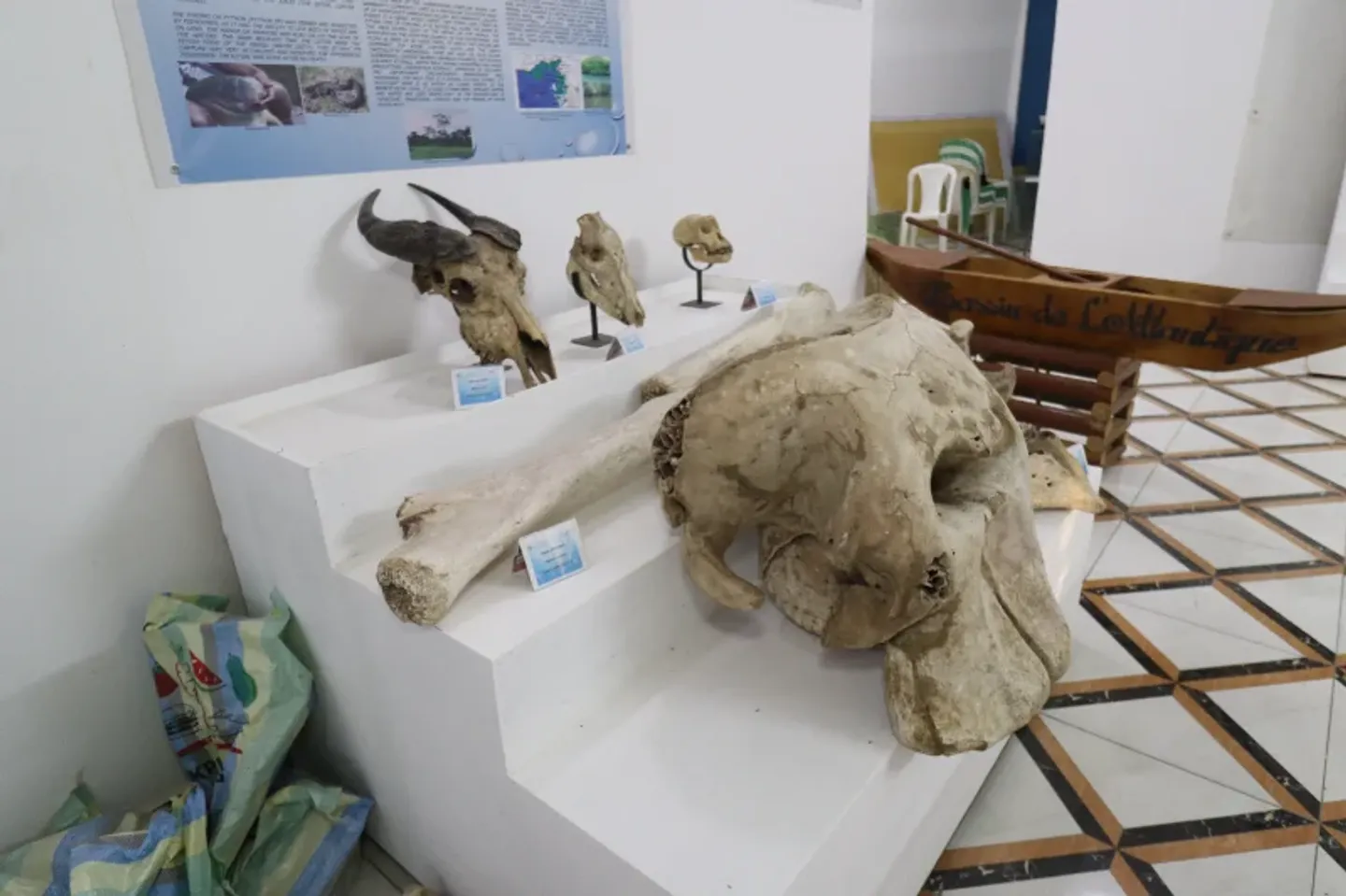 musee-artefact3