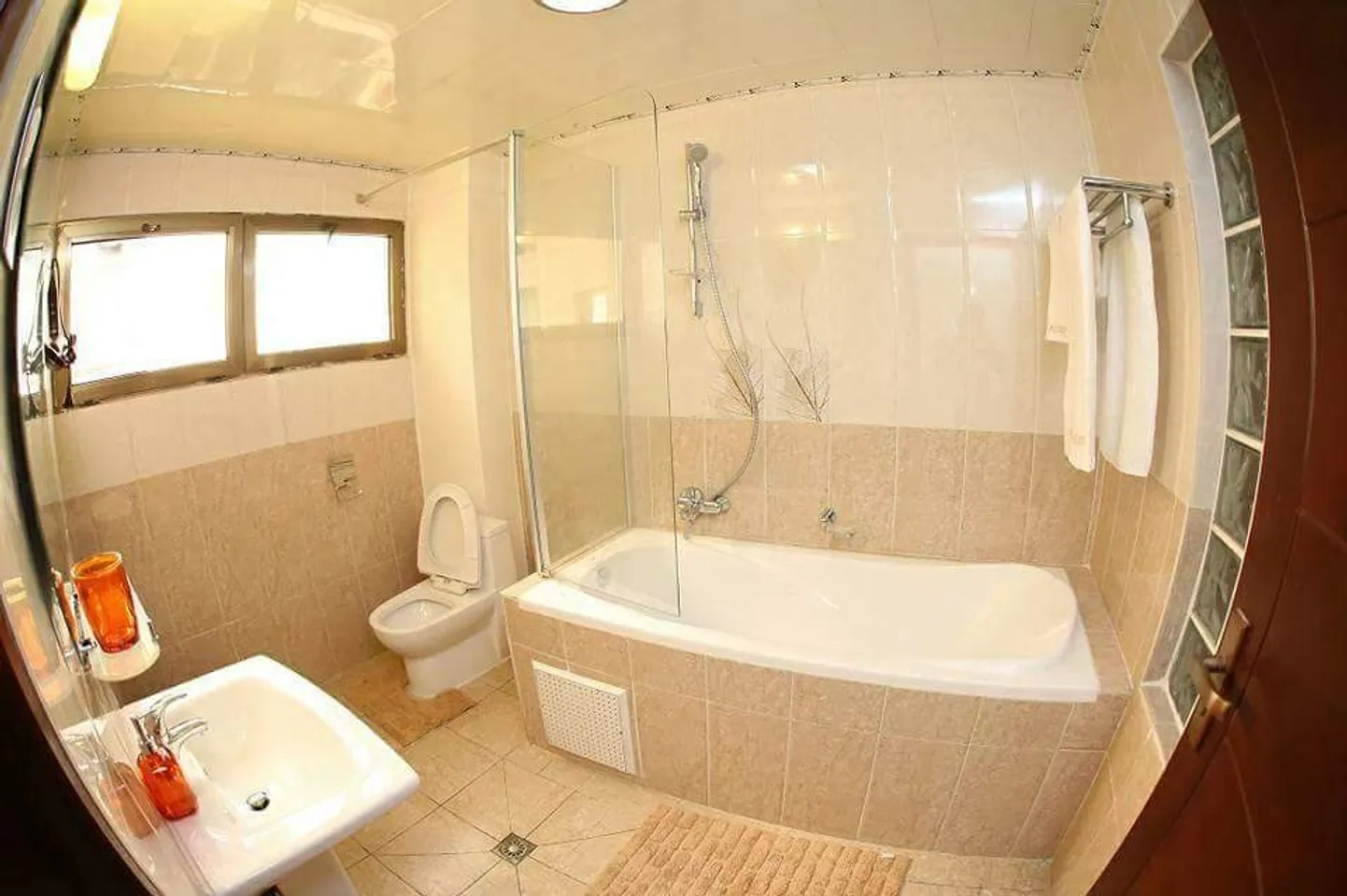 RLP Studio 1-Chambre (2/13)