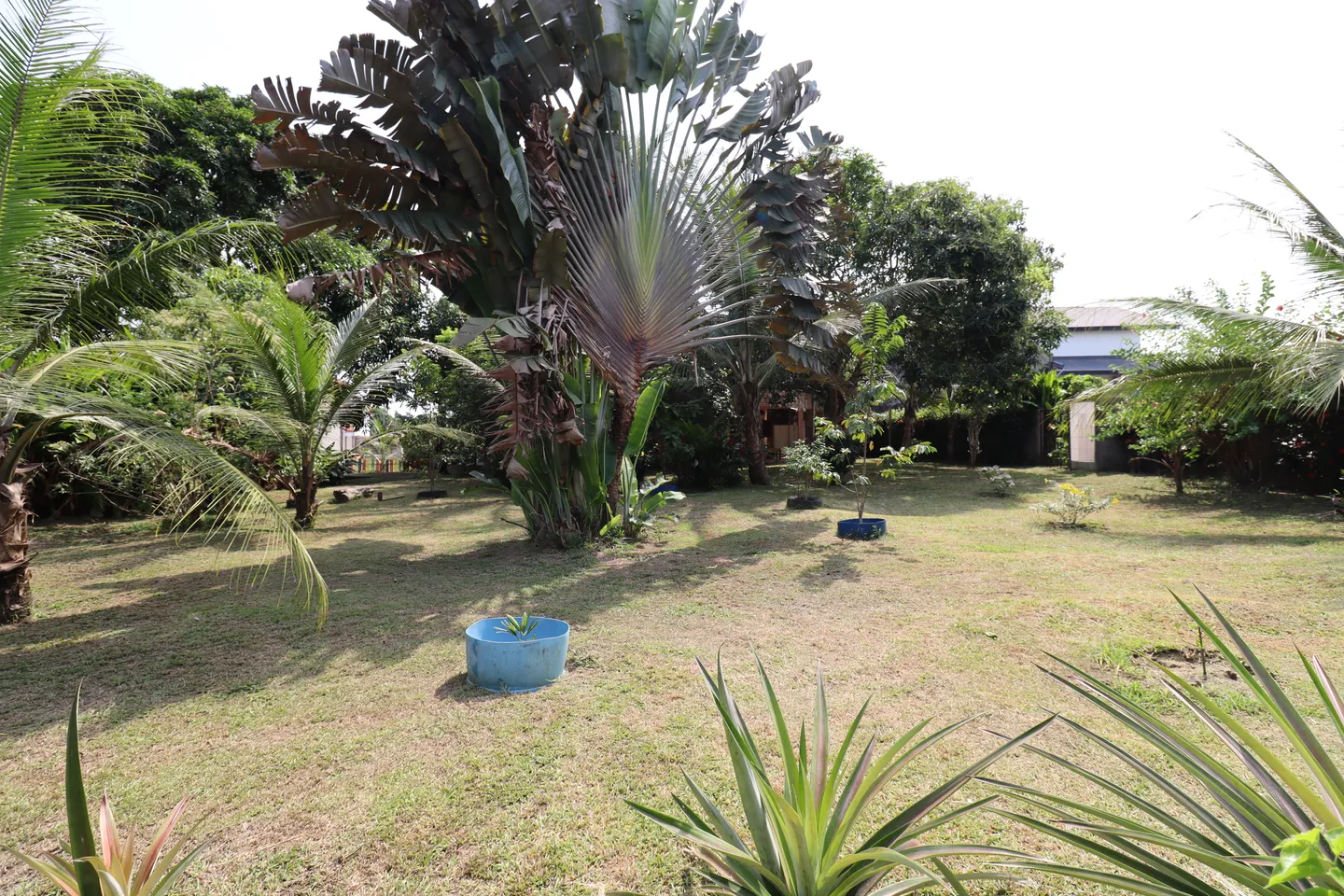 Chambre Meublée Bwambe, Kribi (8/17)